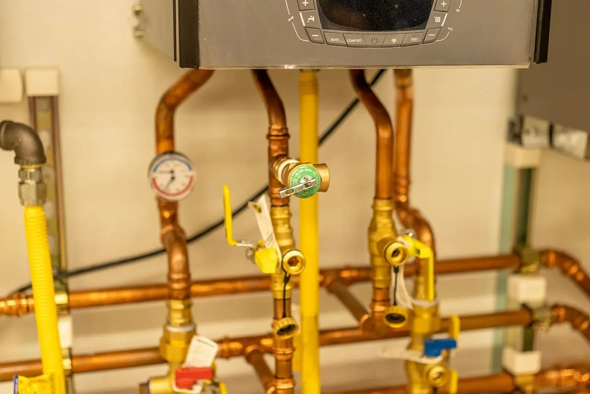 Licensed technician providing Sump Pump Repair for a homeowner in Baldwin